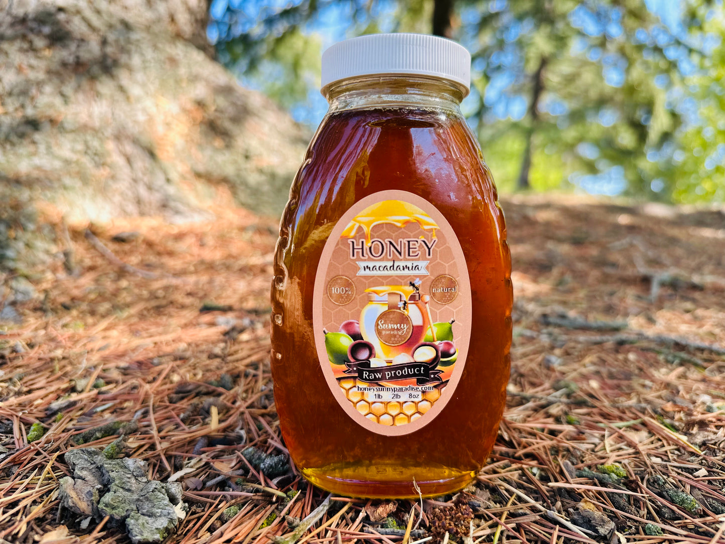 Macadamia Honey