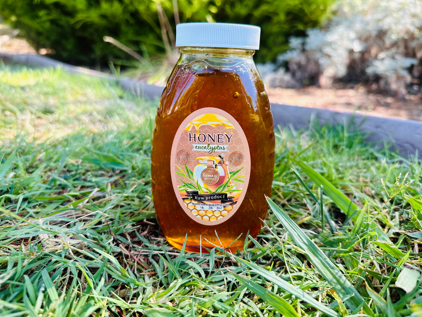 Eucalyptus Honey