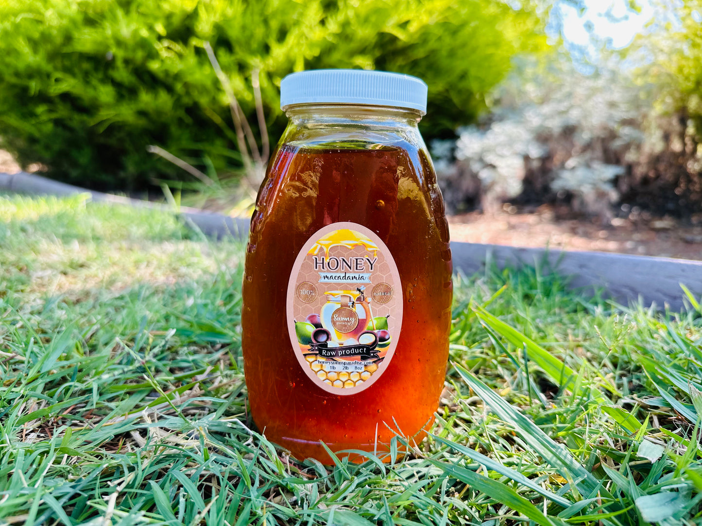 Macadamia Honey