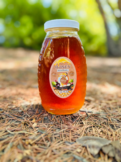 Macadamia Honey