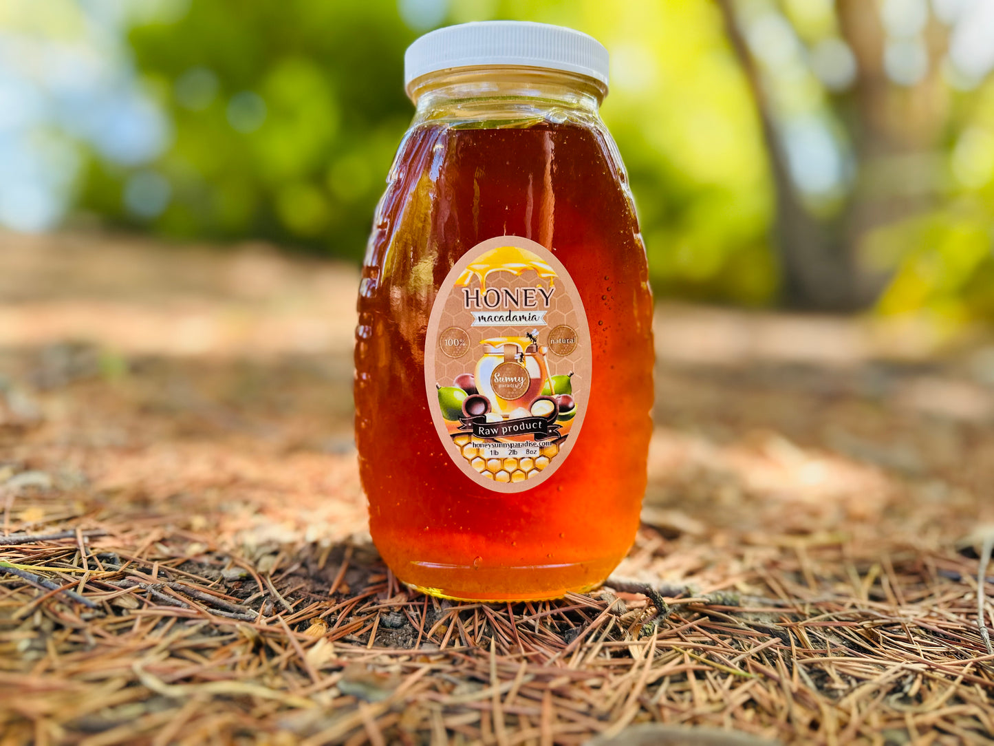 Macadamia Honey