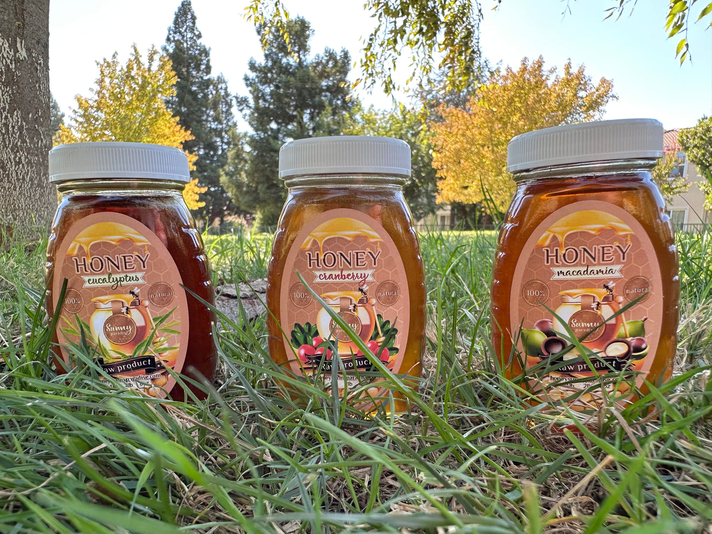 Set of Honey